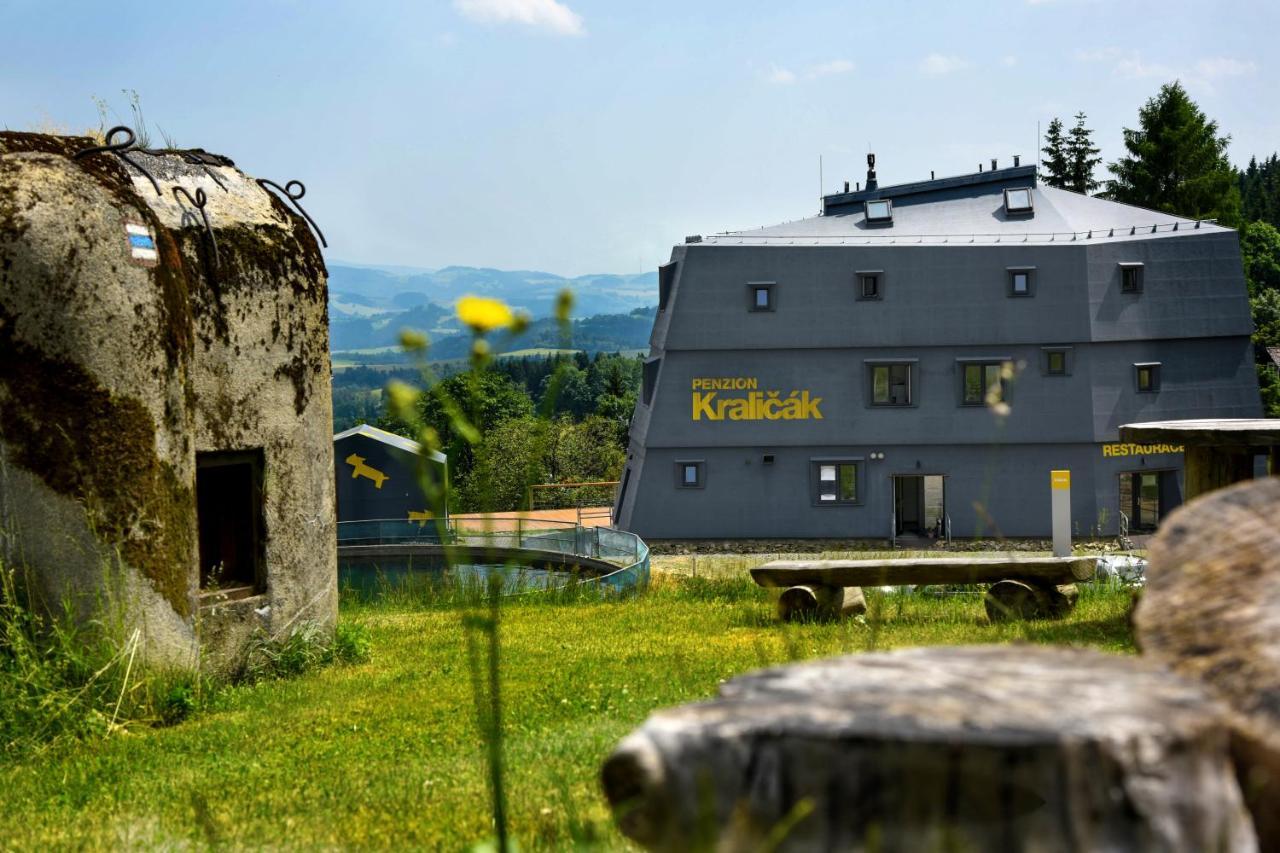 Penzion Kralicak Staré Město Esterno foto
